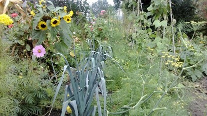 educatieve-tuin-algemeen.jpg