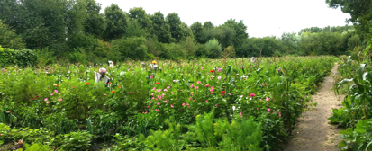 educatieve-tuin-lieven-de-key_header.png