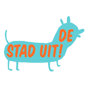destaduit_logo.png